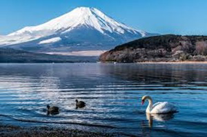 Japanisches Filmfestival Nippon Connection