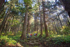 Bildungsurlaub in Japan