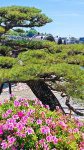 Reisen mit Japan Plus nach Iwakuni