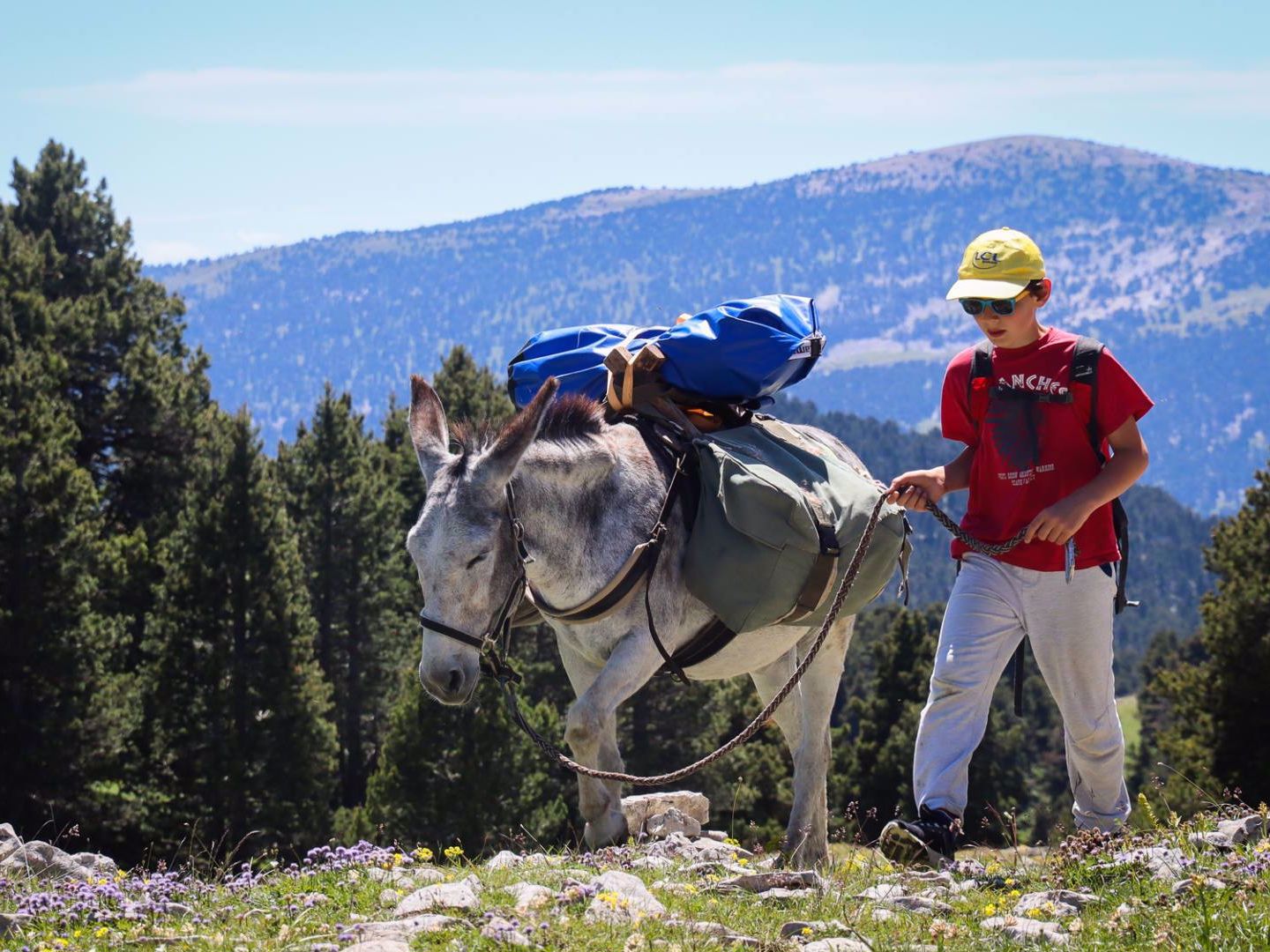 Petits nomades en Diois