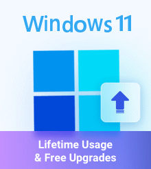 Windows 11 & Lifetime license